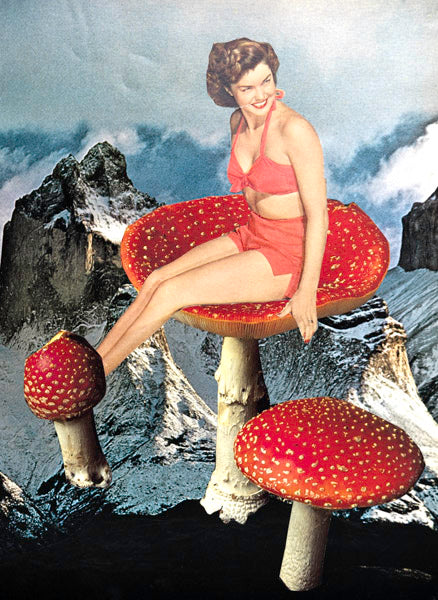 Because Fungi are Fabulous